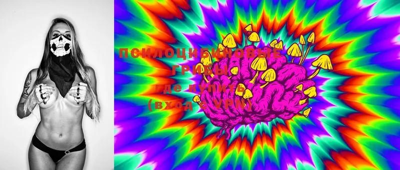 Псилоцибиновые грибы Cubensis  Новомосковск 